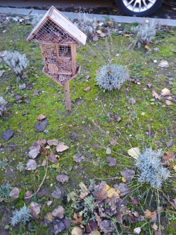 IMG_20251020_113732302 (Copy)