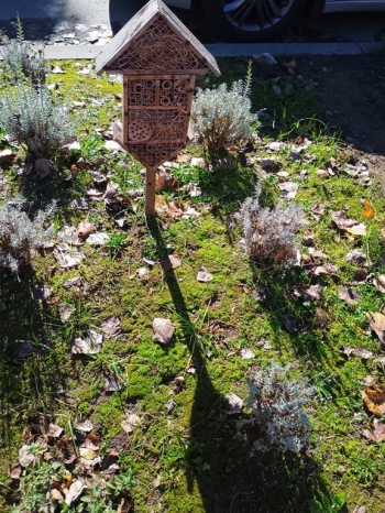 IMG_20251020_113728862_HDR (Copy)