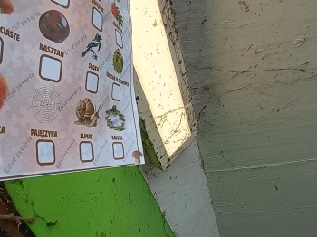 IMG_20251020_114358228_HDR (Copy)