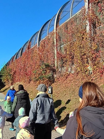 IMG_20251020_114514641_HDR (Copy)