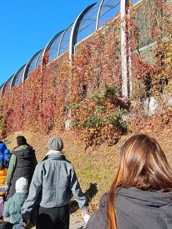 IMG_20251020_114520815 (Copy)