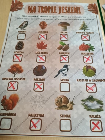 IMG_20251021_111034173 (Copy)