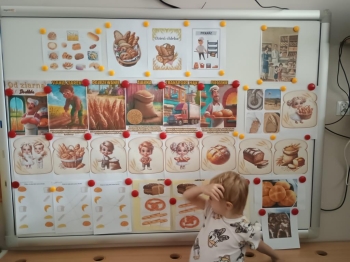 IMG_20251021_101806714 (Copy)