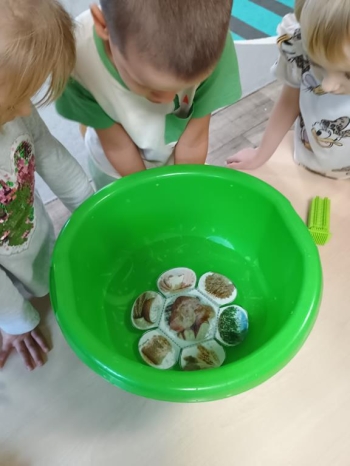 IMG_20251021_115656712 (Copy)