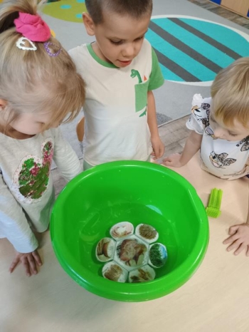 IMG_20251021_115659008 (Copy)