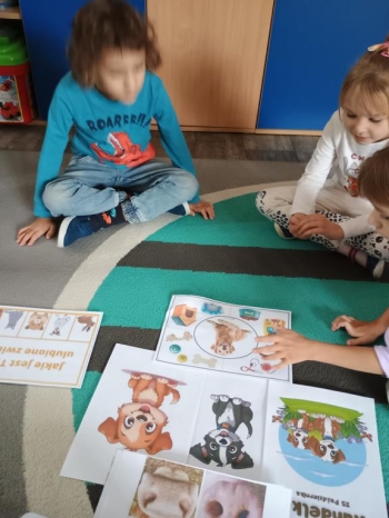 IMG_20251027_093446593 (Copy)