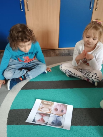 IMG_20251027_093528557 (Copy)