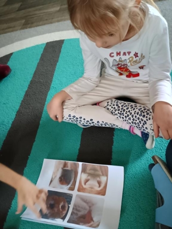 IMG_20251027_093608318_HDR (Copy)