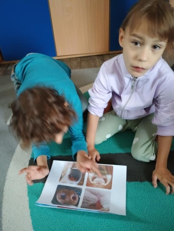 IMG_20251027_093621507 (Copy)