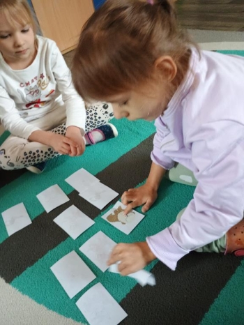 IMG_20251027_094048553 (Copy)