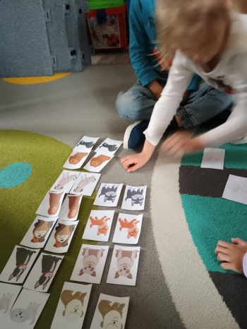 IMG_20251027_094227362 (Copy)