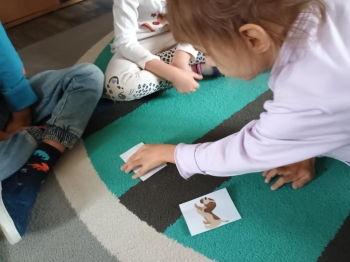 IMG_20251027_094238664 (Copy)