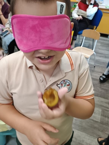 IMG_20251028_095419626 (Copy)