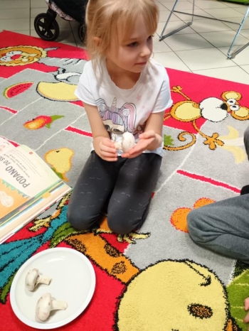 IMG_20251030_101051507 (Copy)