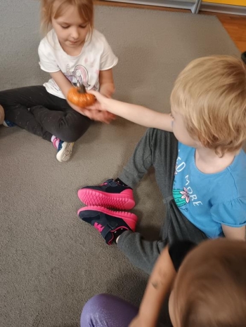 IMG_20251030_111220227 (Copy)