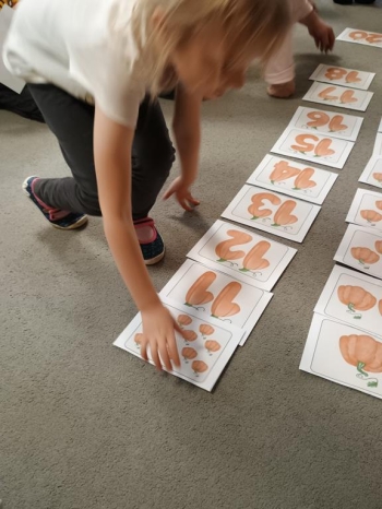 IMG_20251030_112955041 (Copy)