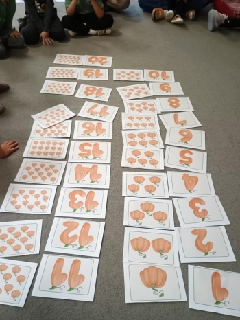 IMG_20251030_113225024 (Copy)