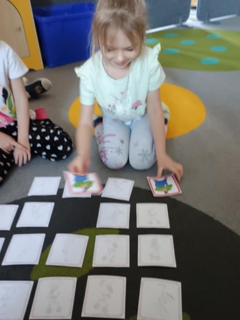 IMG_20251118_094341092 (Copy)