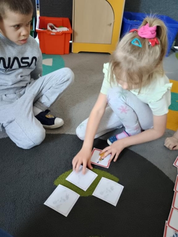 IMG_20251118_094545286_HDR (Copy)