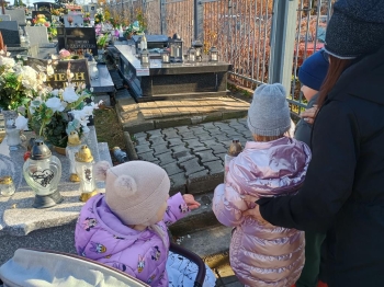 IMG_20251118_103501658_HDR (Copy)