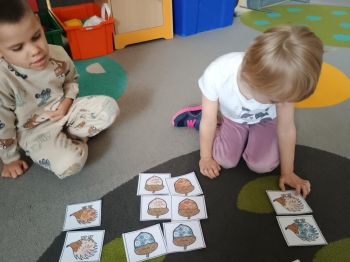 IMG_20251113_093409287 (Copy)