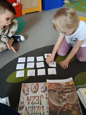 IMG_20251113_093626905_HDR (Copy)