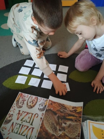 IMG_20251113_093642048 (Copy)