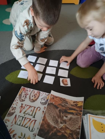 IMG_20251113_093643803 (Copy)