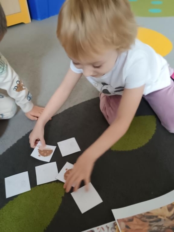 IMG_20251113_093743642 (Copy)