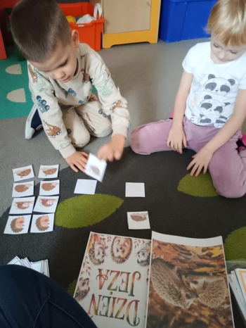 IMG_20251113_093758777 (Copy)