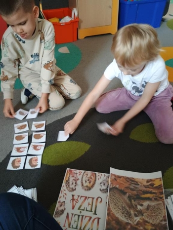 IMG_20251113_093808594 (Copy)