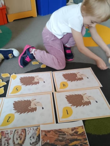 IMG_20251113_094002056 (Copy)