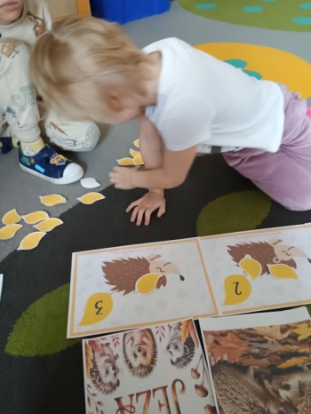 IMG_20251113_094113591 (Copy)