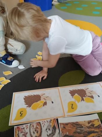 IMG_20251113_094116263 (Copy)