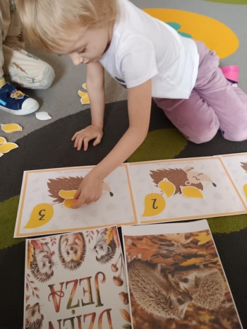 IMG_20251113_094118849 (Copy)