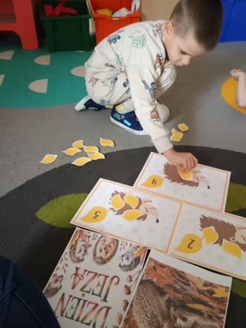 IMG_20251113_094141403 (Copy)