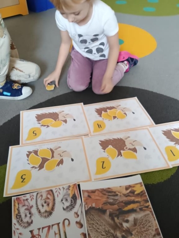 IMG_20251113_094159430 (Copy)