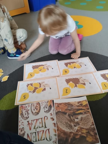 IMG_20251113_094204682 (Copy)