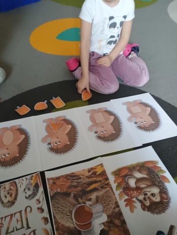 IMG_20251113_094310537 (Copy)