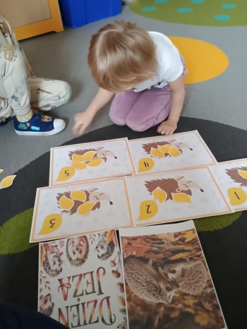 IMG_20251113_094206431 (Copy)