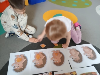 IMG_20251113_094317192 (Copy)