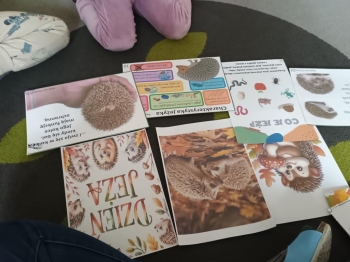 IMG_20251113_094526813 (Copy)