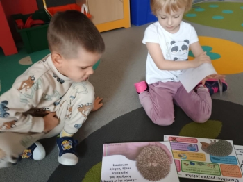 IMG_20251113_094536474 (Copy)