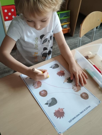 IMG_20251113_094812736 (Copy)