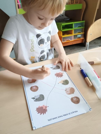 IMG_20251113_094850815 (Copy)