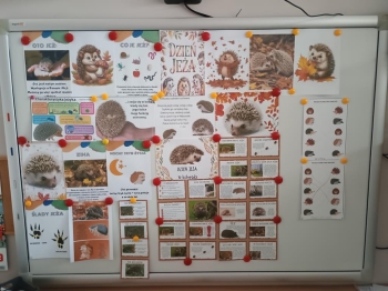 IMG_20251113_111451544 (Copy)