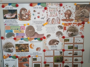 IMG_20251113_111611830 (Copy)