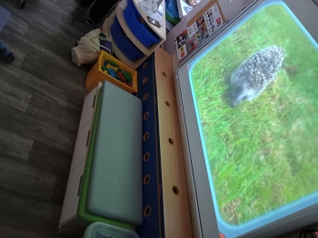 IMG_20251119_094752751_HDR (Copy)