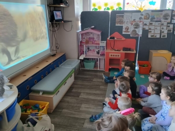 IMG_20251119_094805697_HDR (Copy)