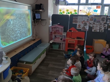 IMG_20251119_094812906_HDR (Copy)